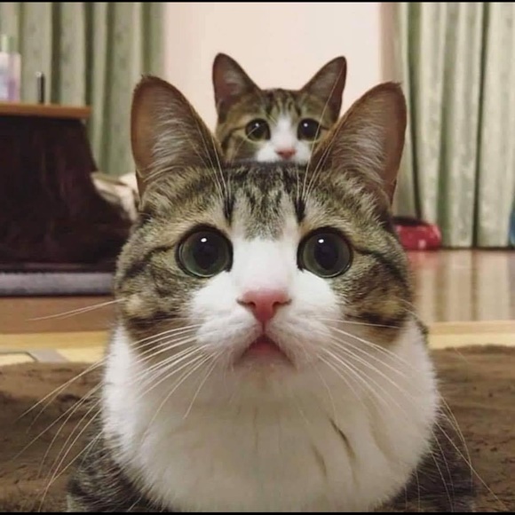 Open for business 24/7 🤩 - Picture 7 of 16